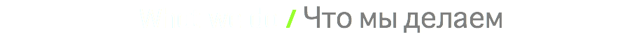 What we do / Что мы делаем